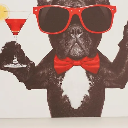 50230... * קרוליננזיל